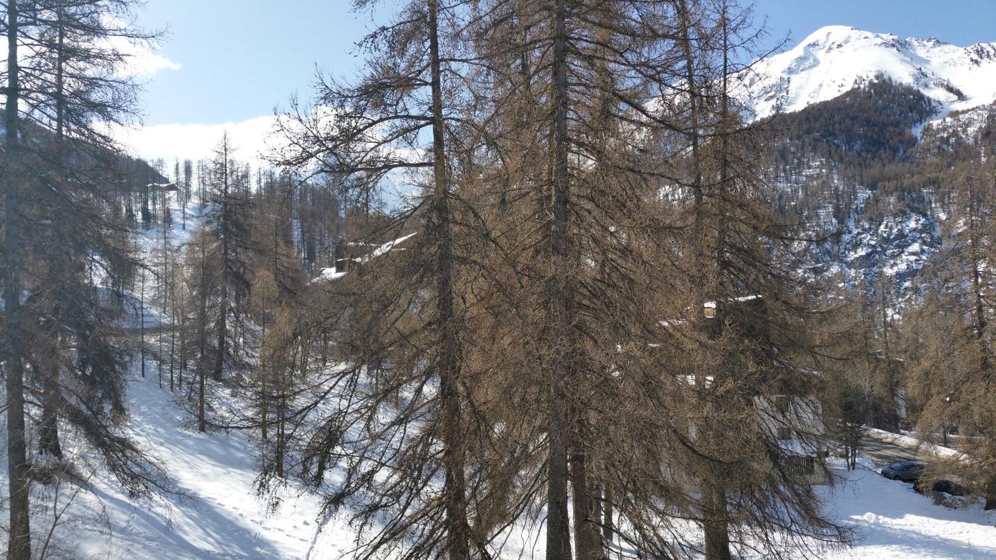 Le Lodge Des Marmottes - Calme, Cosy, Vue Nature Les Orres Luaran gambar